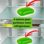 Oui, le bicarbonate de soude permet aux toilettes de sentir toujours bon