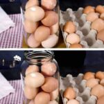 L’astuce pour dégivrer un congélateur en quelques minutes sans efforts