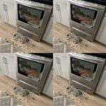 Les Madeleines au Citron et à la Vanille