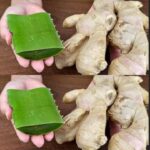 Une astuce astucieuse pour nettoyer le four pendant que vous dormez