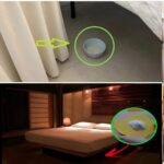 Recette Facile et Délicieuse de Limoncello Maison