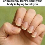 Homemade Syrup Cures Even the Most Persistent Cough: Only Three Ingredients!