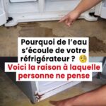 Ne triche pas : La bague que tu choisis révèle ton trait de caractère le plus profond