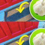 Les moustiques n’aiment vraiment pas ces 8 odeurs. Assurez-vous de les planter cet été