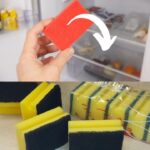 Cette pièce de 2 € vaut en réalité 10 000 euros : le saviez-vous ?