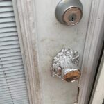 Un mélange naturel puissant pour avoir de l’énergie la nuit