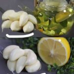 Une seule cuillère et vos roses, géraniums, hortensias et toutes vos fleurs refleuriront comme jamais !