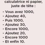 En quoi les chats roux sont différents des autres chats