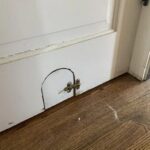 J’ai découvert cette peau bizarre sur l’oreille de mon fils ce matin. Le rendez-vous chez le médecin est dans une semaine. Que puis-je faire ?