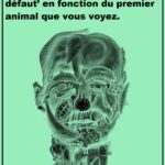 De divorcée à déterminée : comment j’ai repris le contrôle… et ma pelouse