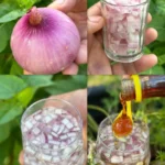 Comment Rafraîchir Sa Maison Sans Climatisation ni Ventilateur : 10 Astuces Naturelles et Économiques