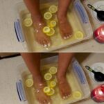 Débarrassez-vous des fourmis avec cette méthode bio : elles ne reviendront jamais