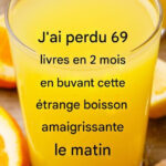 Les astuces les plus efficaces pour faire fleurir le cactus de Noël toute l’année