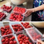 Ces 12 plantes sauvages se mangent ! Pouvez-vous les repérer ?