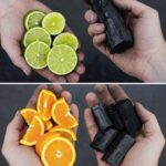 Plantes Médicinales : Découvrez le Pouvoir Naturel des Herbes pour une Santé Optimale