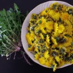 Des fraises en hiver, comme si elles venaient du jardin ! Une préparation parfumée sans cuisson. Essayez de préparer vos fraises pour l’hiver de cette façon !