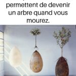 Oubliez les produits chers : 10 astuces beauté avec de la Vaseline