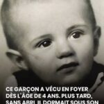 Le Zeste de Citron : Ne le Jetez Plus ! Un Trésor Caché dans Votre Cuisine