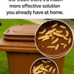 Gâteau éponge maison parfait (sans levure chimique)