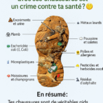 Lutte pour la vie : la plante qui m’a sauvé du cancer – Histoire vraie !