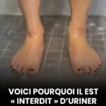 Le fruit presque oublié qui fait aller à la selle, aide à perdre du poids et abaisse le cholestérol