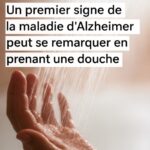 Pourquoi les portes des toilettes publiques n’atteignent pas le sol