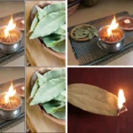 Des lions mangent trois braconniers de rhinocéros vivants dans une réserve naturelle sud-africaine