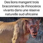 À quoi sert le petit trou du coupe ongles ?